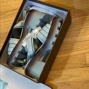 Chunky Platform Sandals in Blue and Brown